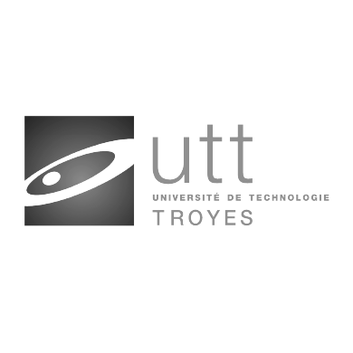 Université de Technologie de Troyes - Francia